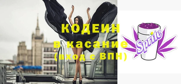 2c-b Пестово